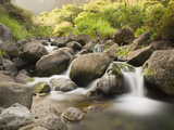 Creek at Kepaniwai County Park  Iao Valley  Maui  Hawaii  USA