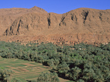 Berber Village and Oasis  Near Todra Gorge  Morocco