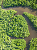 Aerial View of the Rainforest on Fiji