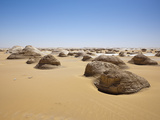 Cone Formations of Limestone in White Desert National Park  Libyan Desert  Egypt