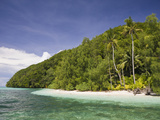 Palm-Lined Beach at Palau  Micronesia  Palau
