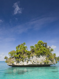 Small Island Off Palau  Micronesia  with a Wave-Eroded Base