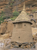 Traditional Dogon Granary  Mali