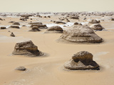 Cone Formations of Limestone in White Desert National Park  Libyan Desert  Egypt
