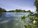 Bay in Rock Islands  Micronesia  Palau