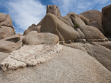 White Tank Monozonite Granite with a Aplite Dike  Joshua Tree National Park  California  USA