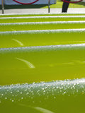 Algae Growing System Being Used to Make Ethanol and Biodiesel