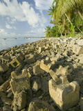Erosion Control on a Tropical Beach