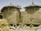 Granary Stores  Songhai Village Near Mopti  Mali