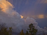Edge or Flanking Line of a Supercell Cloud at Sunset Near Norman  Oklahoma  USA