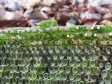 Glass Bottles Collected for Recycling