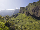 Iao Needle at Kepaniwai County Park  Iao Valley  Maui  Hawaii  USA