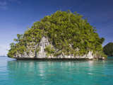 Small Island Off Palau  Micronesia  with a Wave-Eroded Base