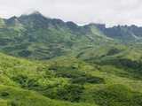 Remnants of the Tropical Rainforest Near Bukaya in the Fiji Highlands