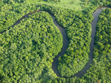 Aerial View of the Rainforest on Fiji