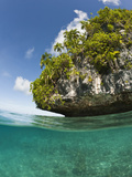 Edge of a Small Island Off Palau  Micronesia Showing Wave Erosion at the Waterline