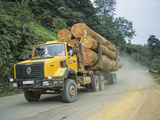 Truck Carrying Large Logs from the Rainforest  Gabon
