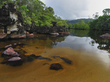 River Flowing Through the Rainforest in Masoala National Park  Madagascar