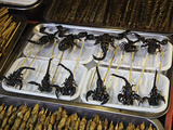 Deep Fried and on a Stick  Scorpions  and Insects for Sale at a Food Stand in Guangzhou  China