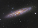 NGC 253 the Sculptor Galaxy NGC 253 Is a Member of the Sculptor Group of Galaxies
