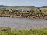 Tourists in Safari Vehicles Witnessing Wildebeest Migration across Mara River