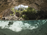 Entrance of Gran Cenote  Tulum  Yucatan Peninsula  Mexico