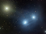 Ic 4592 in the Constellation Scorpius Is known as the Horsehead Nebula