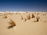 Landscape of White Desert National Park  Libyan Desert  Egypt