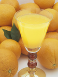 Oranges and a Refreshing  Healthy Glass of Fresh Squeezed Orange Juice