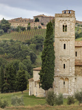 Vineyards  St Antimo Abbey  Montalcino  Tuscany  Italy