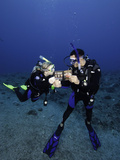 Divers on a Reef Reading a Fish Identification Book Underwater  Palau  Micronesia
