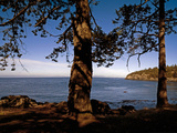 Looking Out over Haro Strait from Lime Kiln Point State Park  Washington  USA