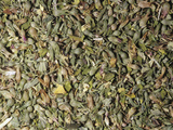 Dried Catnip for Use as a Spice or Herb (Nepeta Cataria)  Native To Eurasia And North Africa