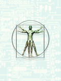Illustration of Leonardo Da Vinci's Vitruvian