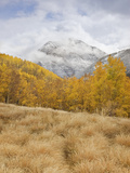 Fresh Snow on the Peaks Above the Upper Animas Valley