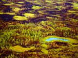Early Fall after the Summers of the Nenana Forest Fire