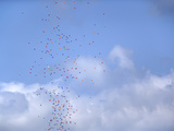 Multicolored Balloons in Sky