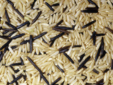 Wild Rice (Zizania) Is Not a True Rice But Seeds from a A Long-Grain Marsh Grass