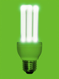 Low Energy Fluorescent Bulb