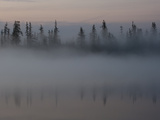 Radiation Fog Forms on Shuchi Lake in the Siberian