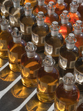 Sample Bottles Filled with River Water from the Kolyma River Watershed  Siberia  Arctic