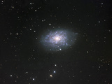 NGC 7793 Spiral Galaxy in Sculptor NGC 7793