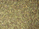 Dried Thyme Leaves for Use as a Spice or Flavoring (Thymus Vulgaris)