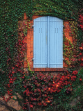 Vine-Covered Wall and Blue Window Shutters  Ozenay  France This Vine Is Using a Wall for Support