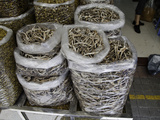 Plastic Bags Full of Dried Seahorses for Sale at a Traditional Medicine Shop in Guangzhou  China