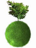 Illustration of a Beautiful Single Tree on Top of a Grass-Covered Sphere on a White Background