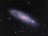 NGC 247  Irregular Galaxy in Cetus NGC 247 Is Dwarf Galaxy and a Member of the Sculptor Group