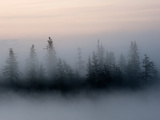 Radiation Fog Forms on Shuchi Lake in the Siberian