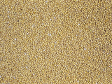 Mustard Seeds for Use as a Spice (Sinapsis Alba)