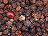 Dried Cranberries  Cape Cod Cranberries are Thought to Have Many Health Benefits